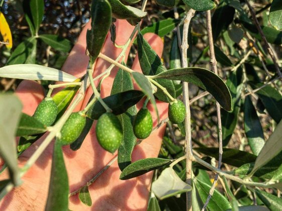 da58ebb8-0ce3-4b1f-b381-379dbe23ccf6