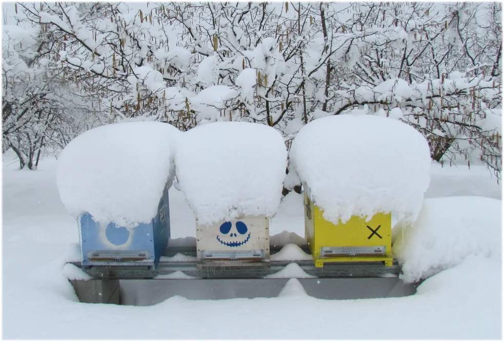 neve sfumata neve sfumata
