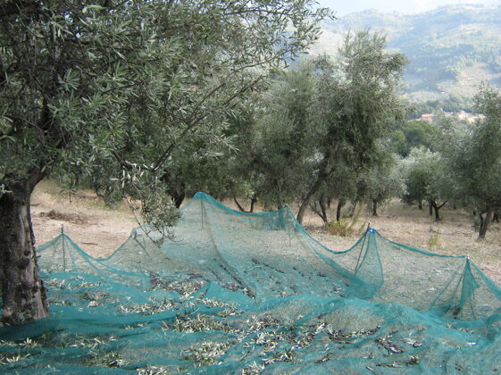 d844627d-483f-4b13-a669-8a896a17da21 d844627d-483f-4b13-a669-8a896a17da21