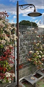 piatto-in-ferro-stile-fiorentino