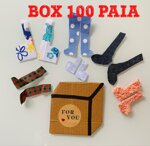 box-100-paia