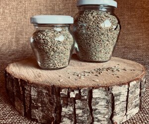 semi-di-finocchio-selvatico