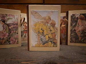 quaderno-piccolo-fate-dei-fiori