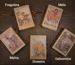 quaderno-piccolo-fate-dei-fiori