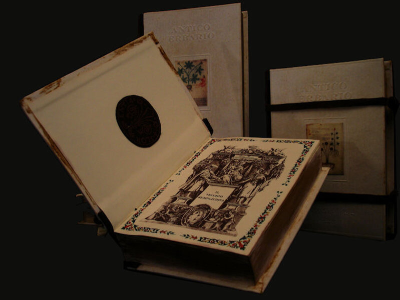 Dettaglio interno all?erbario consistente in un giglio fiorentino di pelle