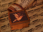 box-musicale-manuale-colibri