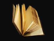 c9b85415-d60c-4423-9c9d-892366505b26