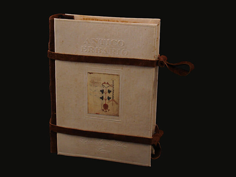 Fronte della copertina in carta dell?erbario con lacci di chiusura