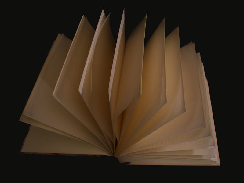 Esposizione delle pagine aperte a ventaglio interne all?album foto