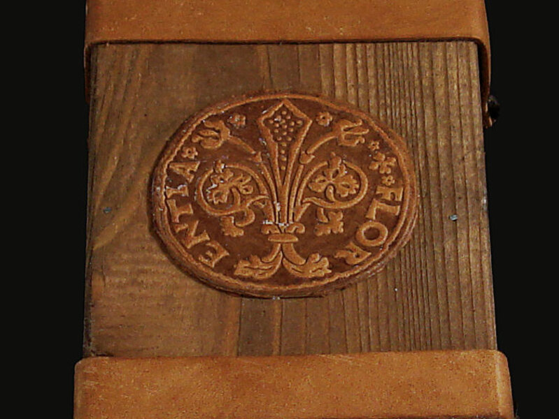 Zoom del giglio in pelle sopra la scatola con grafite