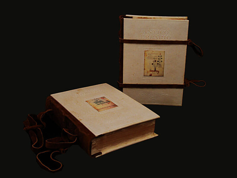 Chiusure con lacci in pelle degli erbari