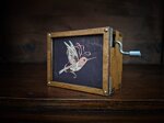 box-musicale-manuale-colibri