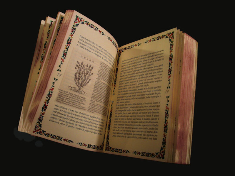 All?interno di questo libro per le erbe troviamo anche la pianta di timo