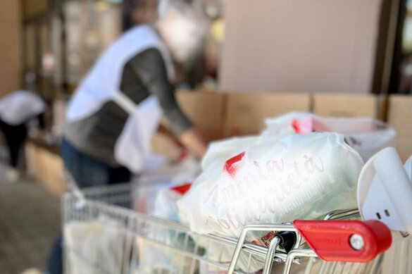 sf 33.jpeg sf 33.jpeg