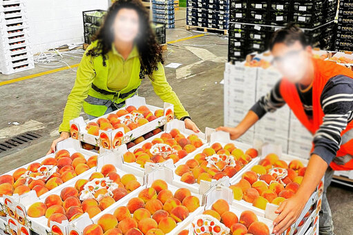 1 fut.jpeg 1 fut.jpeg