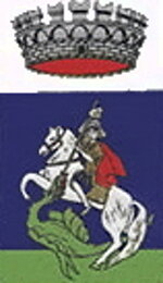 bandiera-comune-di-arcinazzo-150x100-cm