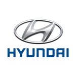 bandiera-hyundai