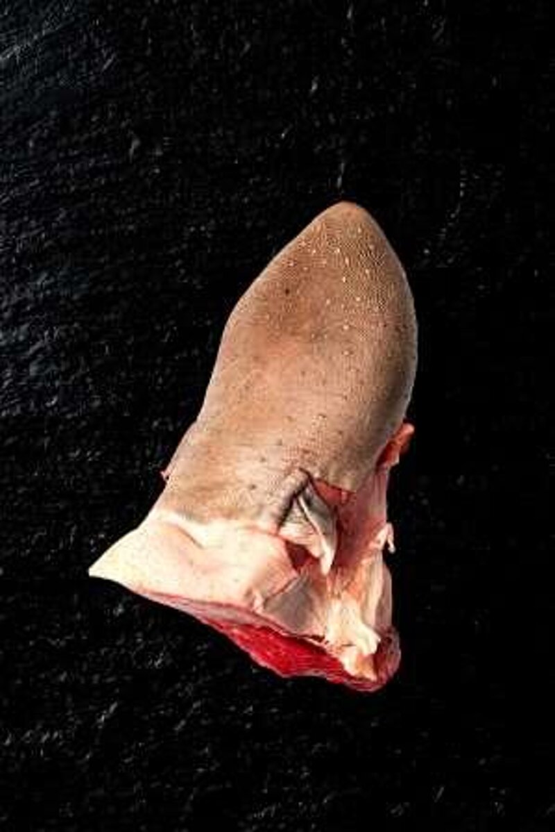 lingua-di-bovino-adulto-piemontese