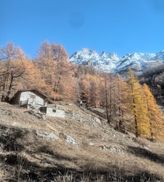 img_20251030_124415985.jpeg img_20251030_124415985.jpeg