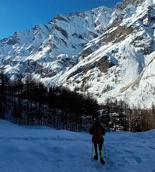 logo-bianco logo-bianco