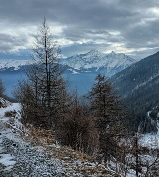 20231230_125255.jpeg 20231230_125255.jpeg