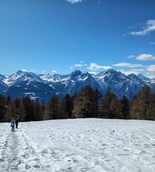 img_20250105_140138.jpeg img_20250105_140138.jpeg