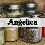 angelica