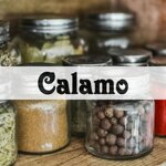 calamo