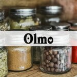 olmo