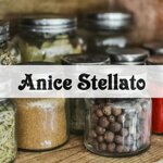 anice-stellato