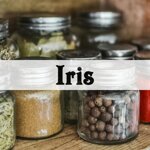 iris