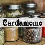 cardamomo