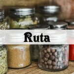 ruta
