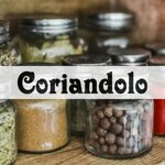 coriandolo