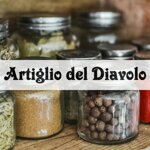 artiglio-del-diavolo