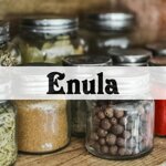 enula