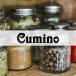 cumino
