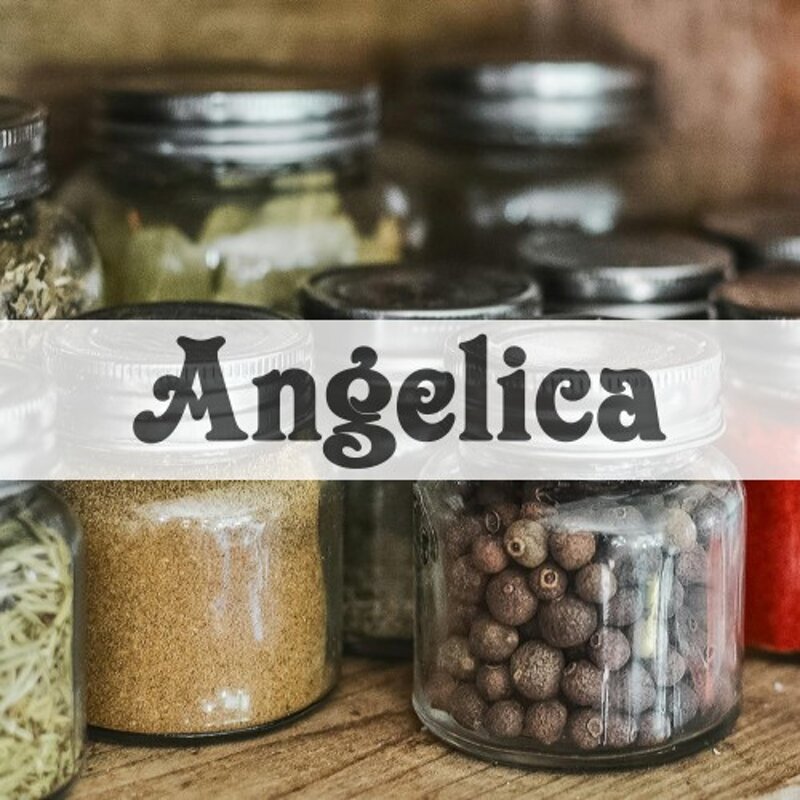 angelica