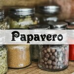 papavero