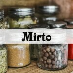 mirto