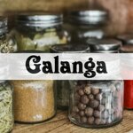 galanga