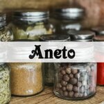 aneto