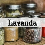 lavanda