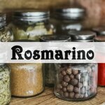 rosmarino
