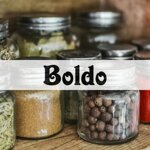 boldo