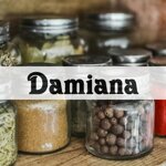 damiana