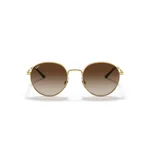 ray-ban-round-metal-00113