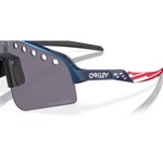 oakley-sutro-lite-sweep-troy-lee