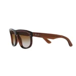 ray-ban-boyfriend-reverse-6709cb