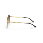 ray-ban-round-metal-00113